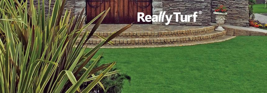 Really Turf®