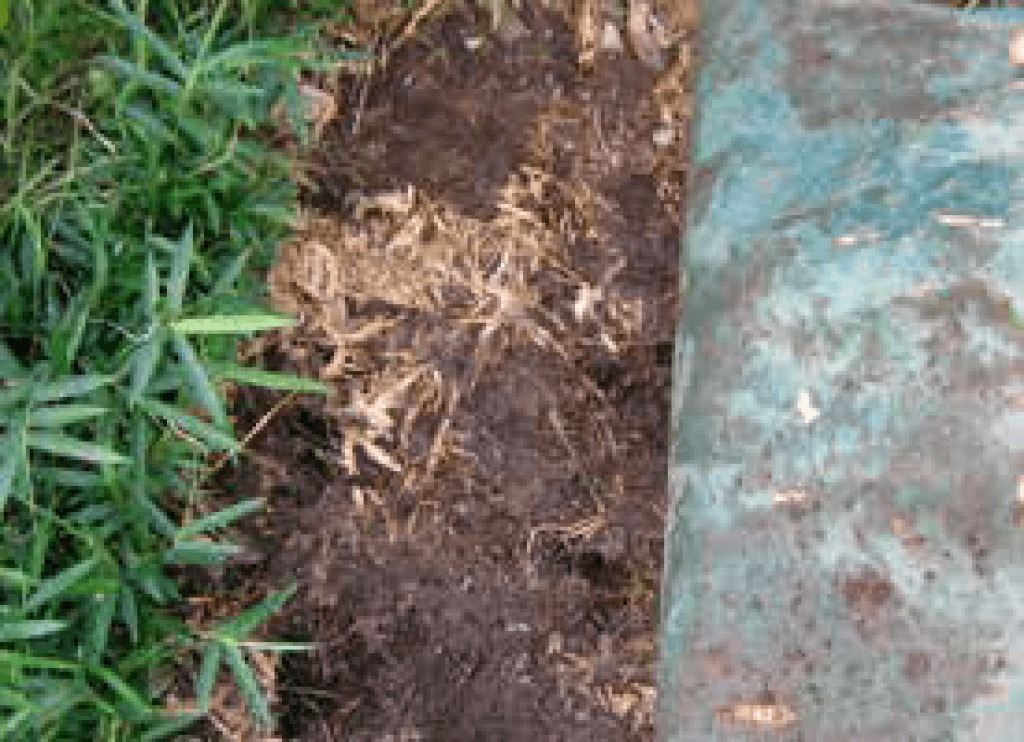 【特集3/特長】雑草対策には「ザバーン ®」「プランテックス ®」が最も効果的 Gardeners