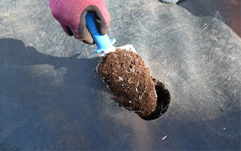 穴に改良土を充填し、水を含ませます。